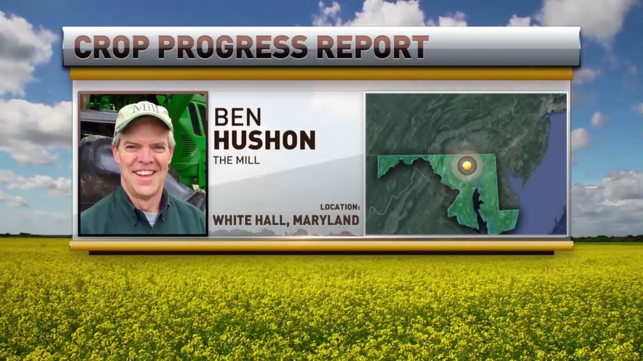 RFD TV Market Day Report 5/30