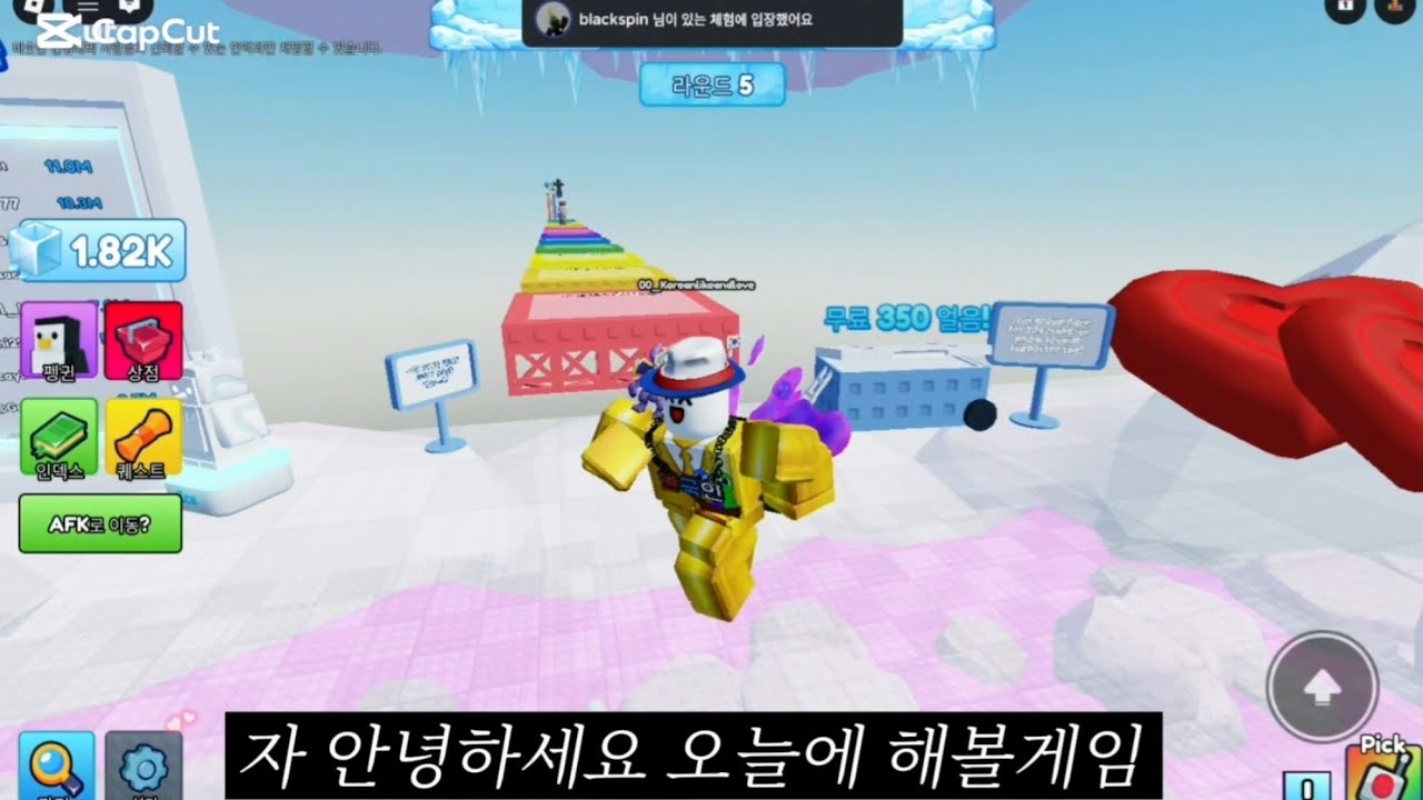 녹아웃 해보기