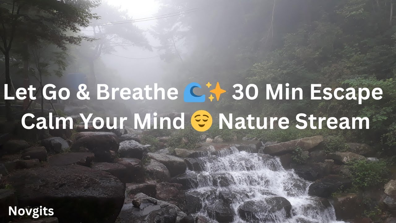 30 Min Relaxing Stream Sounds for Meditation & Letting Go 🌿 No Ads, Just Peace