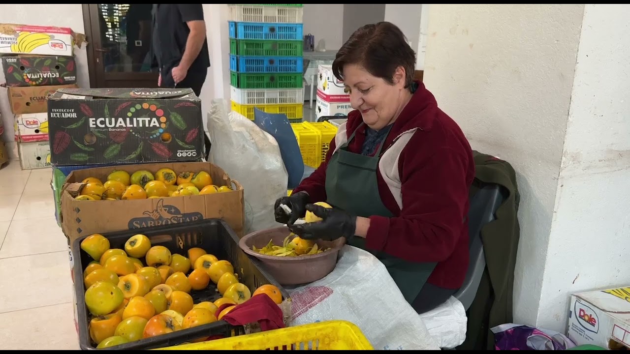 Մեղրիի քաղցր գաղտնիքը. արքայանարնջի չրի արտադրությունը Մեղրիում հիմնական բիզնես է դարձել