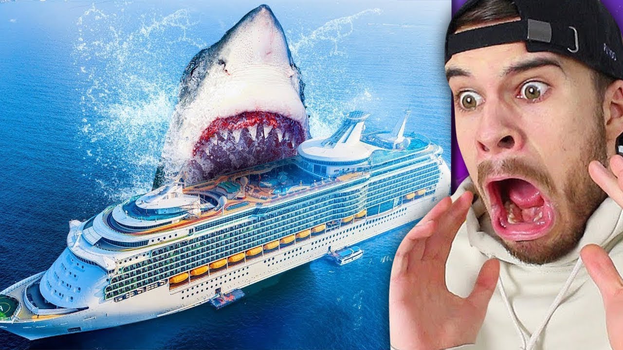MEGALODON LEBT  !!