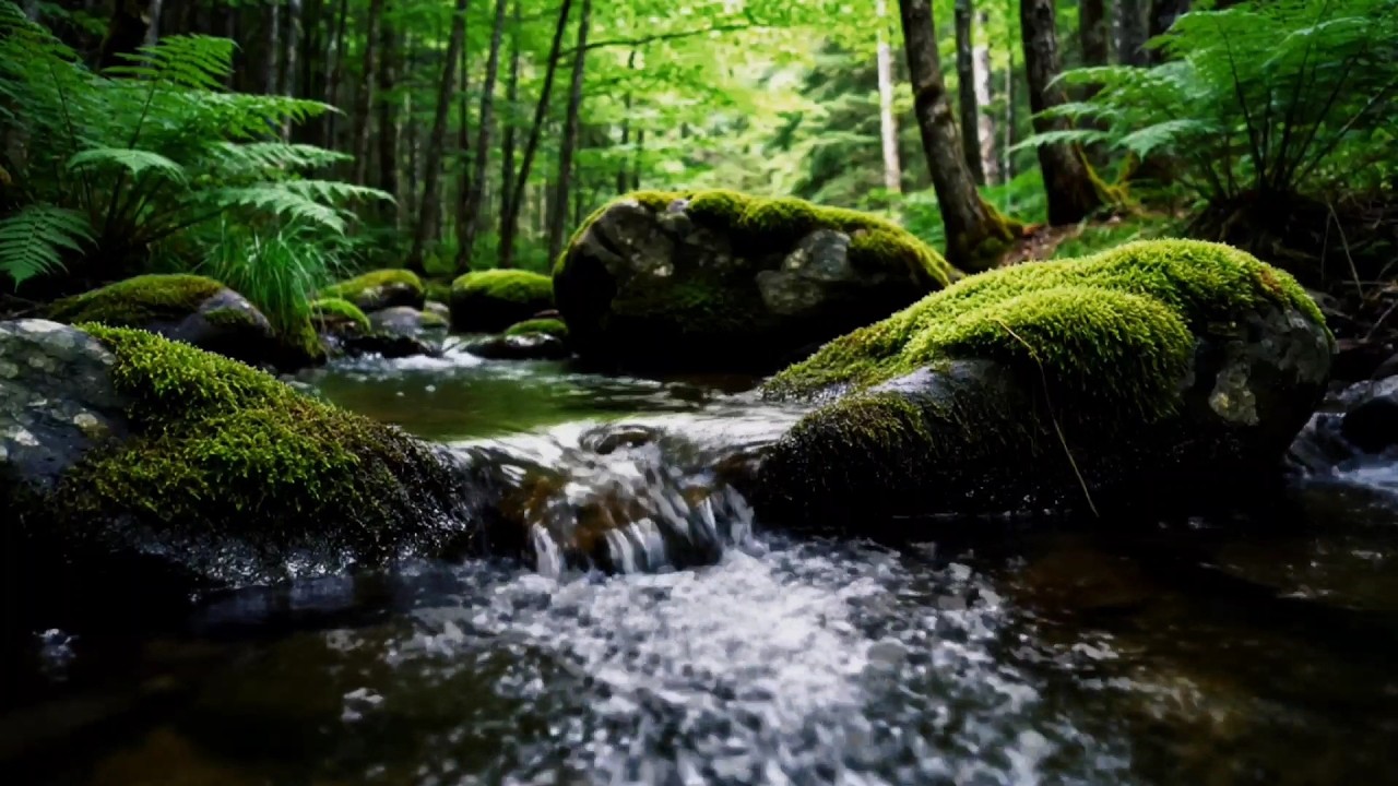 Gentle River Sounds for Sleeping | Natural White Noise to Reduce Stress & Anxiety (No Music)