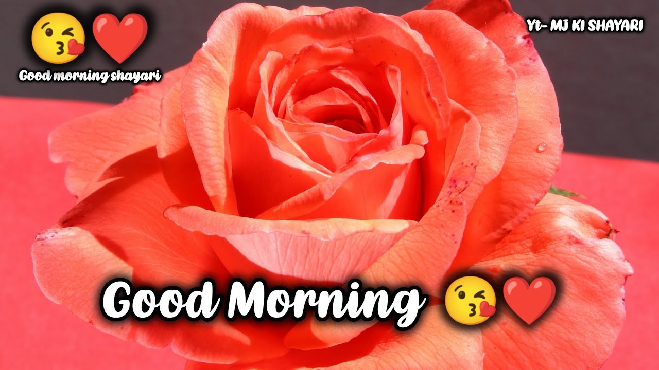 Tumhare Bina Subah Nahi Hoti 😘❤️| Good morning shayari video | Good morning WhatsApp Status