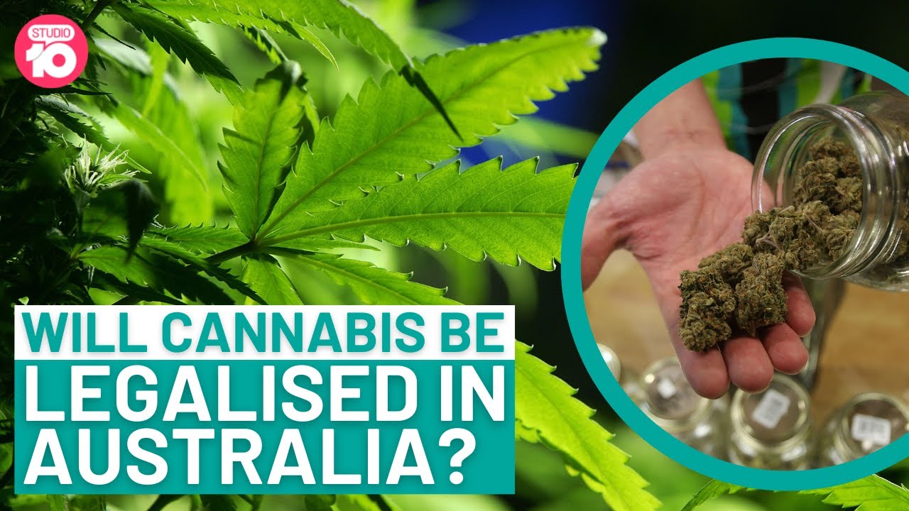 Will Cannabis Be Legalised In Australia? | Studio 10