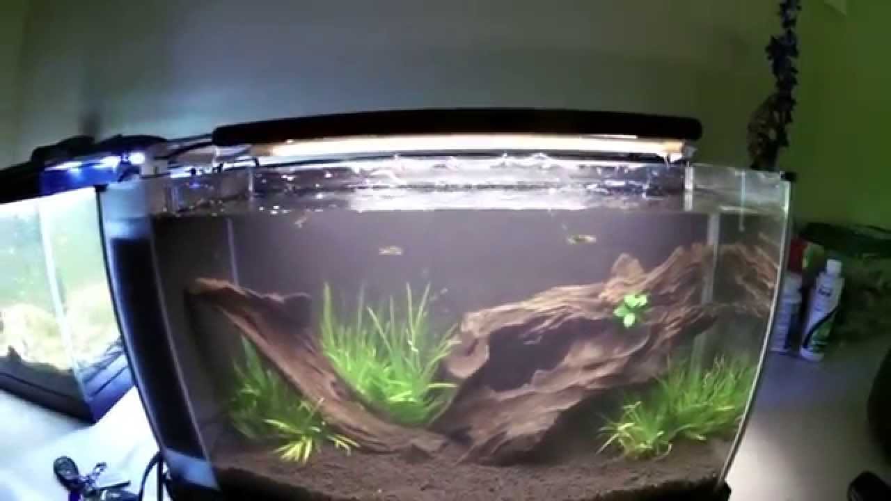 Fluval Spec (5g)