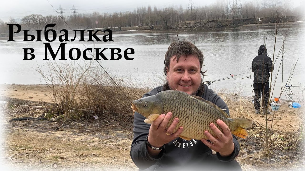 Карп в Москва реке! Рыбалка в Капотне, Москва  и не только Карп ))