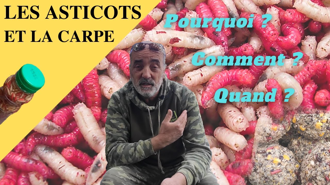 Pensez aux asticots !