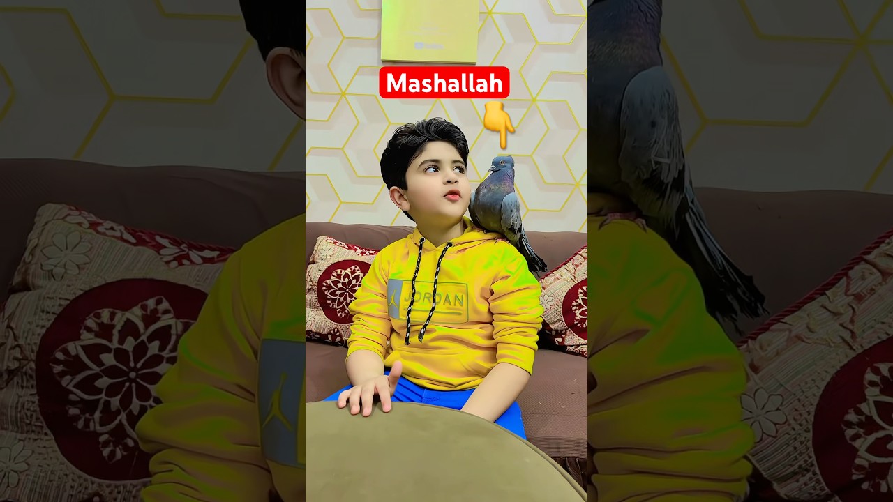 Islamic video 😍 #shorts #mashallah #islamic #shaheerjutt #ramadanonshorts