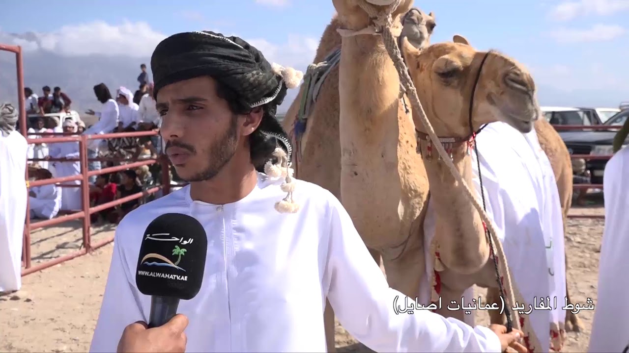 قناة الواحة تقدم مهرجان سدح التراثي الخامس - اليوم الثاني