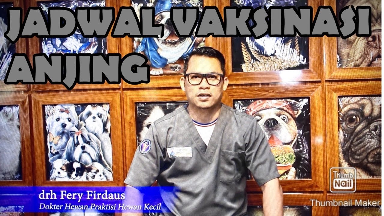 JADWAL VAKSINASI ANJING, BEGINI PENJELASAN DOKTER HEWAN FERY