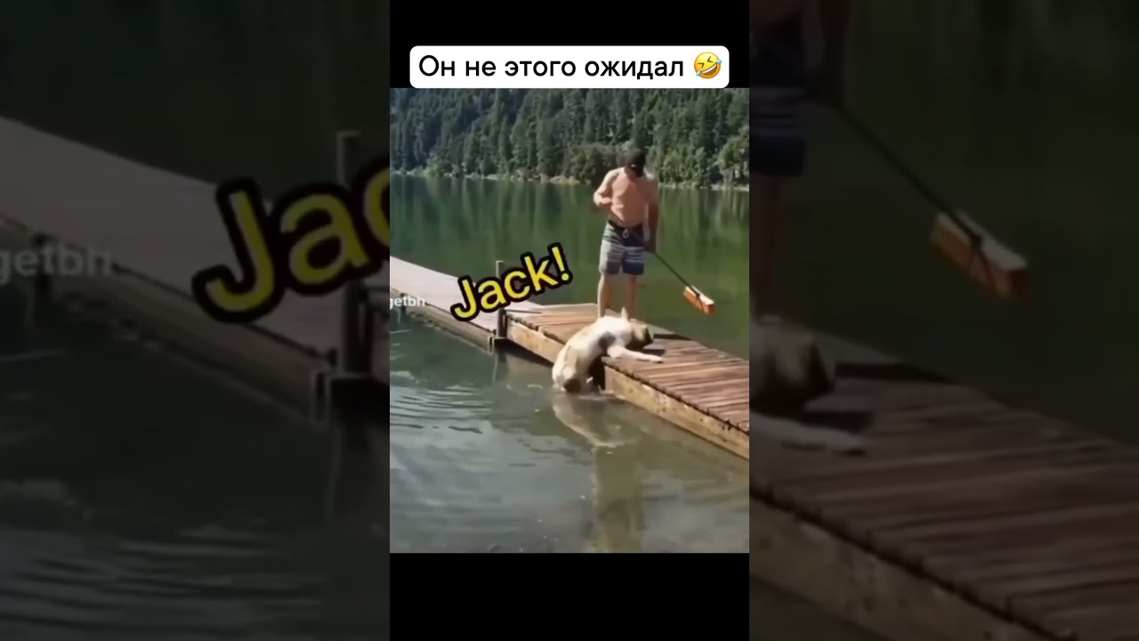 Когда не поняли друг друга... #shorts #приколы