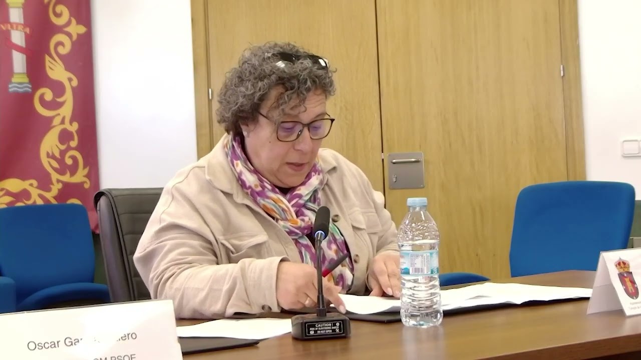 Pleno Municipal Extraordinario Torrejón de Velasco 26 de febrero 2026