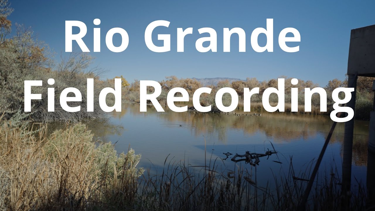 Rio Grande/ Field Recording / New Mexico
