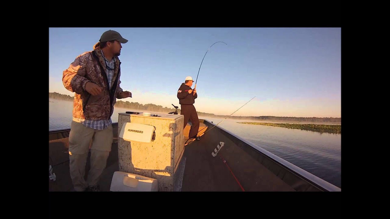 Ocala Bass Fishing Guide Service on Rodman Reservoir