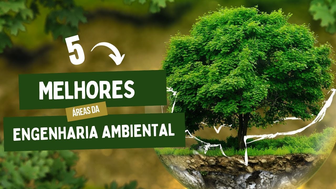 Vale a pena fazer ENGENHARIA AMBIENTAL em 2025?