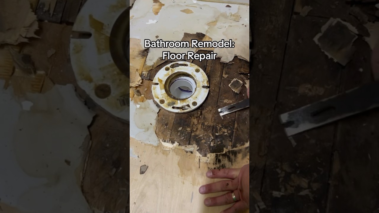 Bathroom Remodel: Floor Repair