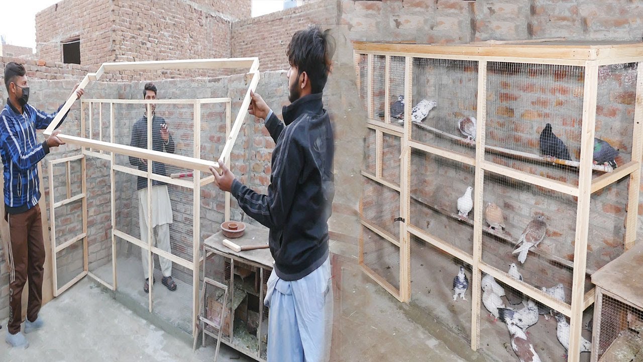 Chat pr Kabotaro  k Liye lakre Ka Cage banany ka Tarika
