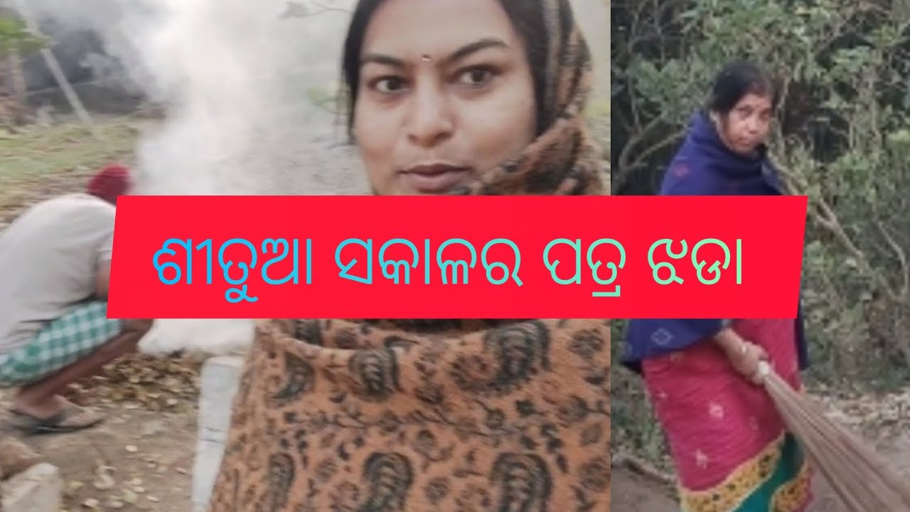 ଶୀତୁଆ ସକାଳର ପତ୍ରଝଡା 