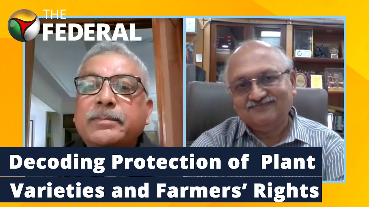 Plant Breeders&rsquo; and Farmers&rsquo; Rights Authority Runs Into Seed Industry, PepsiCo Litigation