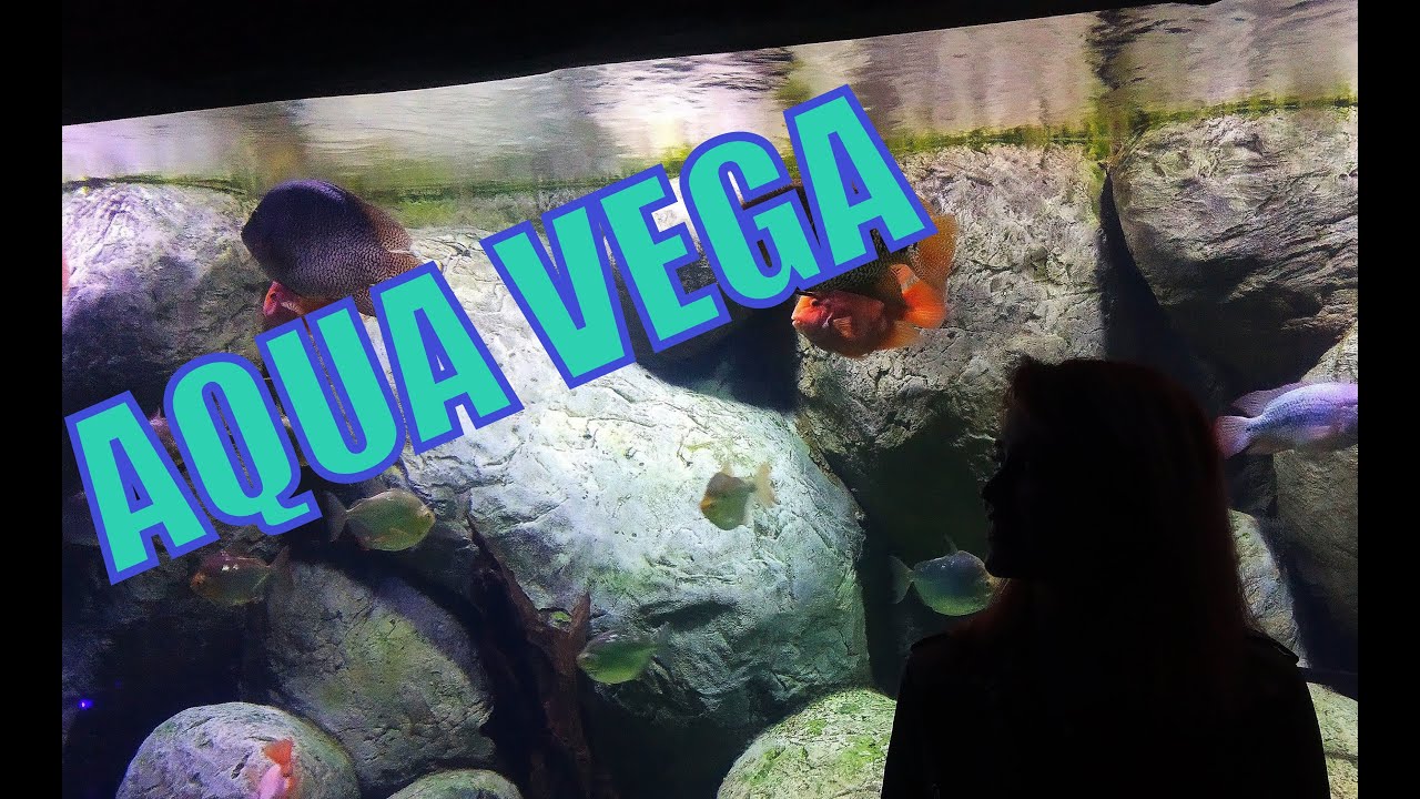 AQUA VEGA'YI SİZLER İÇİN GEZDİK