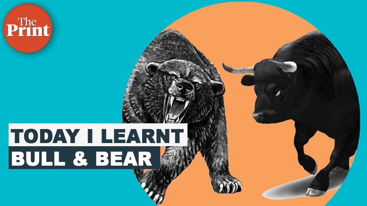 What do bull and bear mean in the stock market?