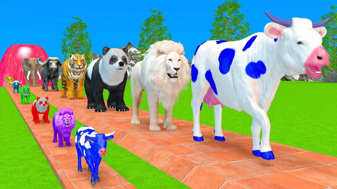 Long Slide Game With Cow Elephant Gorilla Hippopotamus Tiger - 3d Animal Game - Funny 3d Animals