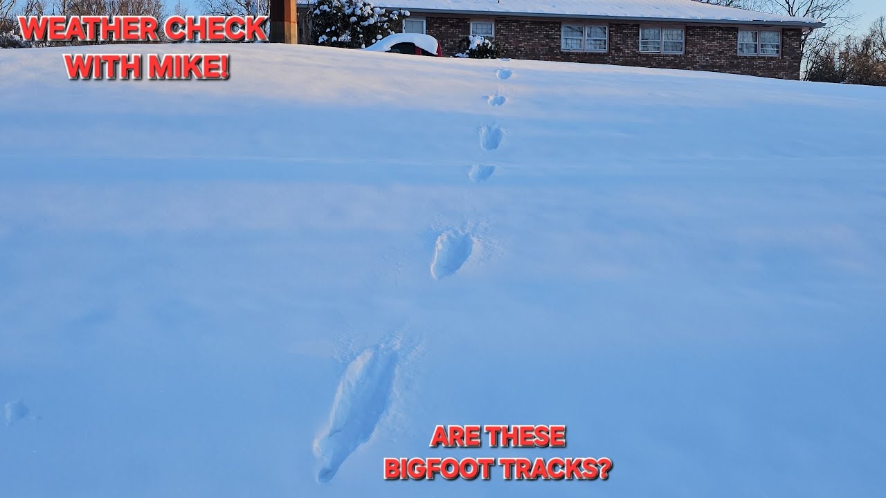 Проверка погоды с Майком! ❄️⛄️ Это следы Бигфута у меня во дворе? 🦧🙄