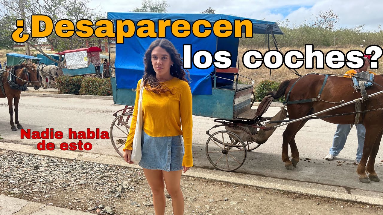 Así está el TRANSPORTE en CUBA 2024. ¿BIENESTAR ANIMAL?