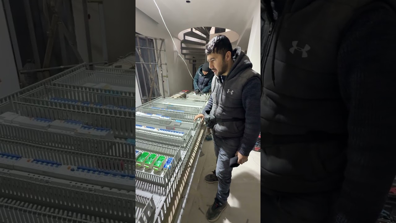 ELEKTRIKLAR HAYOTIDAN REVIZOR