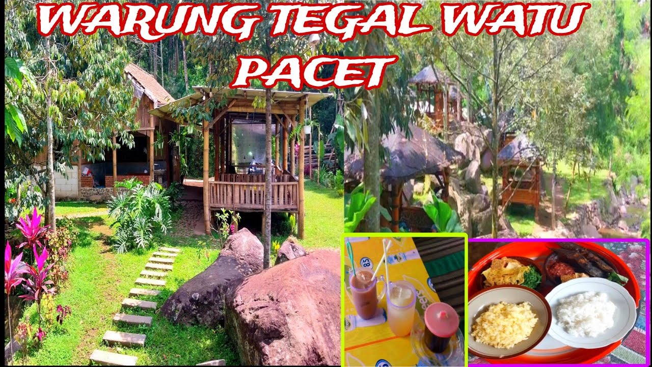 WARUNG TEGAL WATU PACET // Rute jalan,review lengkap