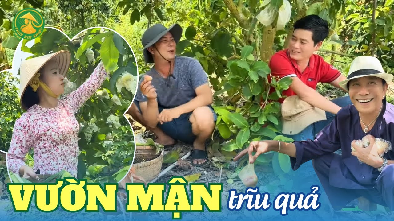 QUÁ ĐÃ!!! Danh hài Bảo Chung, SP Khương Dừa và Thùy Kim Khiết vào vườn mận nhà anh Thái ăn thả ga