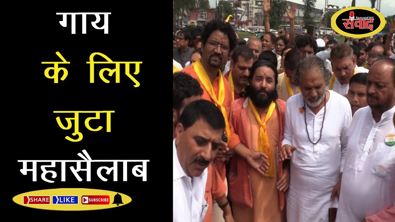 गौ माता प्रतिष्ठा महासंकल्प कार्यक्रम... #samvaad365