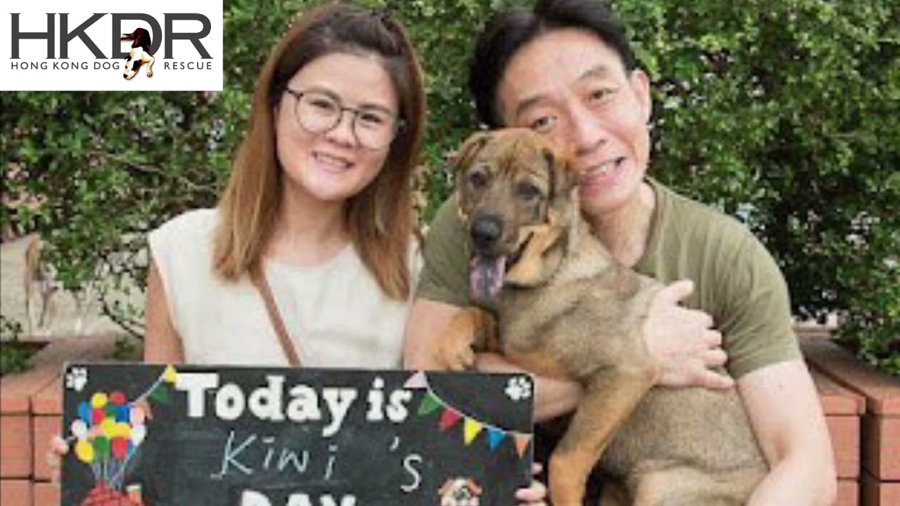 HKDR Adoptions 2021