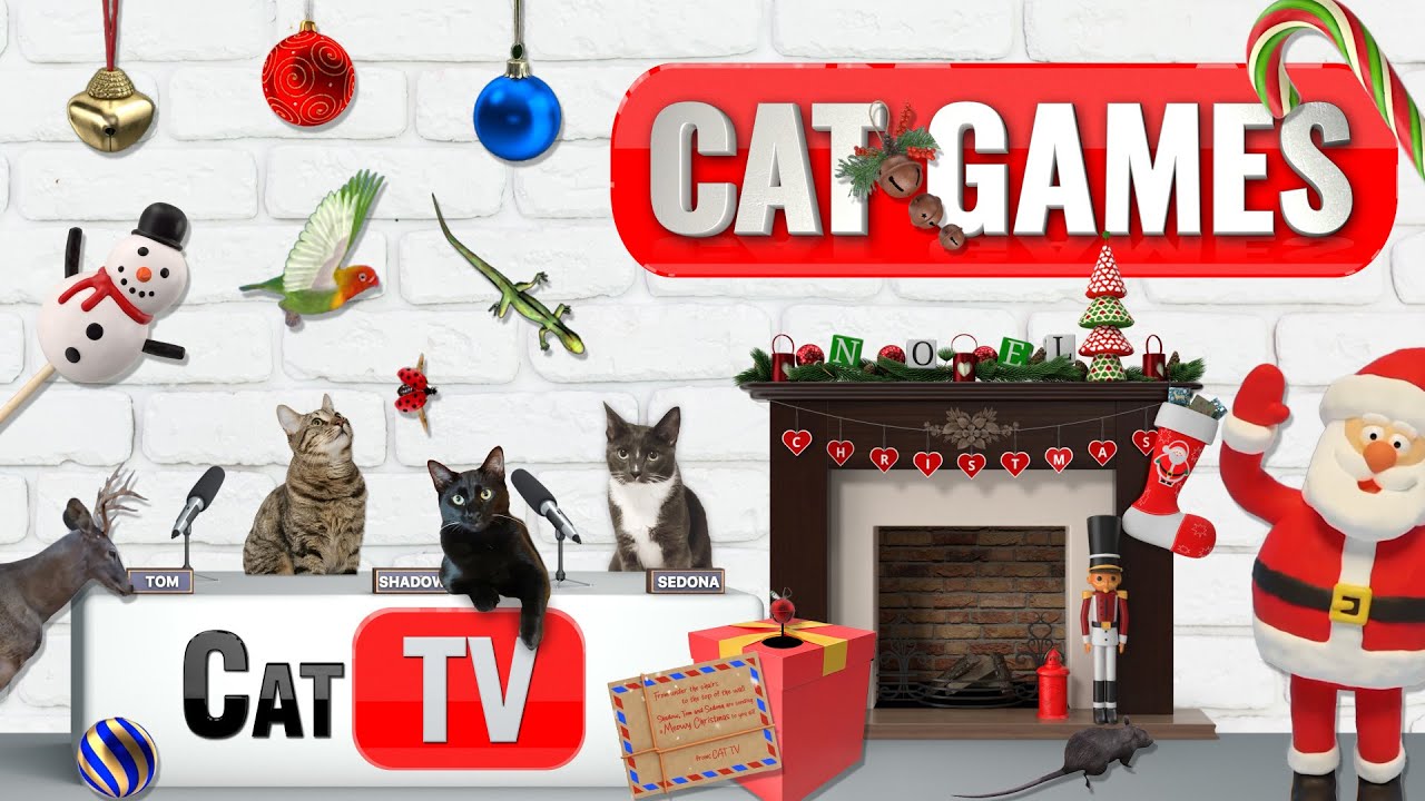 🎄 Рождественская страна чудес для кошек: 4 часа кошачьих игр  🎁