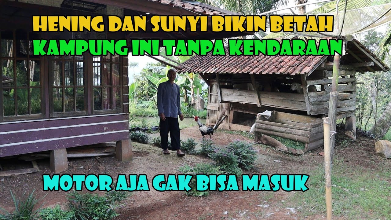 Aura Kampung Ini Sangat Cocok Untuk Menghabiskan Sisa Hidup. Jauh Dari Hingar Bingar Kendaraan.