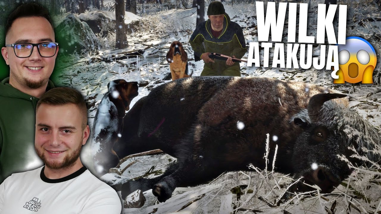 WILKI ZAATAKOWAŁY BOLKA 😱 NOWE REJONY MAPY & NOWA ZWIERZYNA 🐻 TheHunter: COTW [MP] 🐶 MafiaSolecTeam
