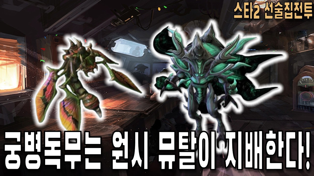 [스타 선술집 전투] (다중영웅모드) 암튼 원시 덱임