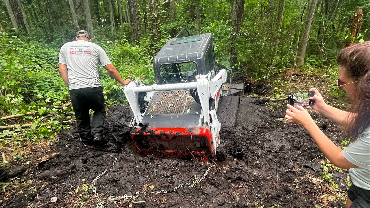 Bobcat stuck in a swamp