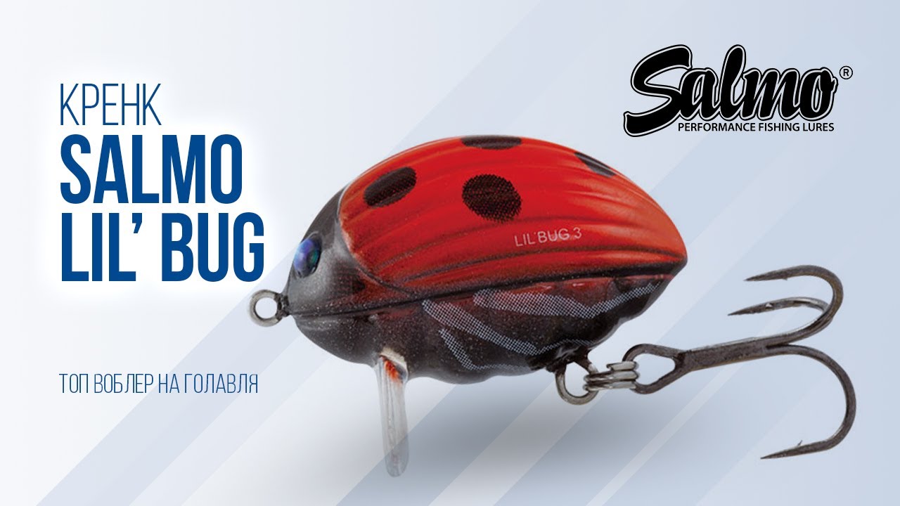 Как ловить на поверхностный воблер Salmo Lil' Bug. Маленький воблер с большими возможностями