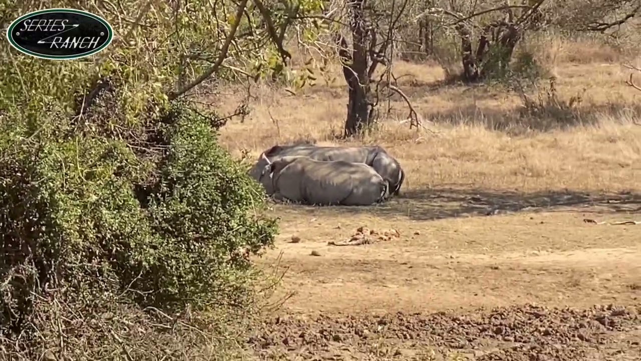 Hluhluwe-iMfolozi Game Reserve | Landy Diaries