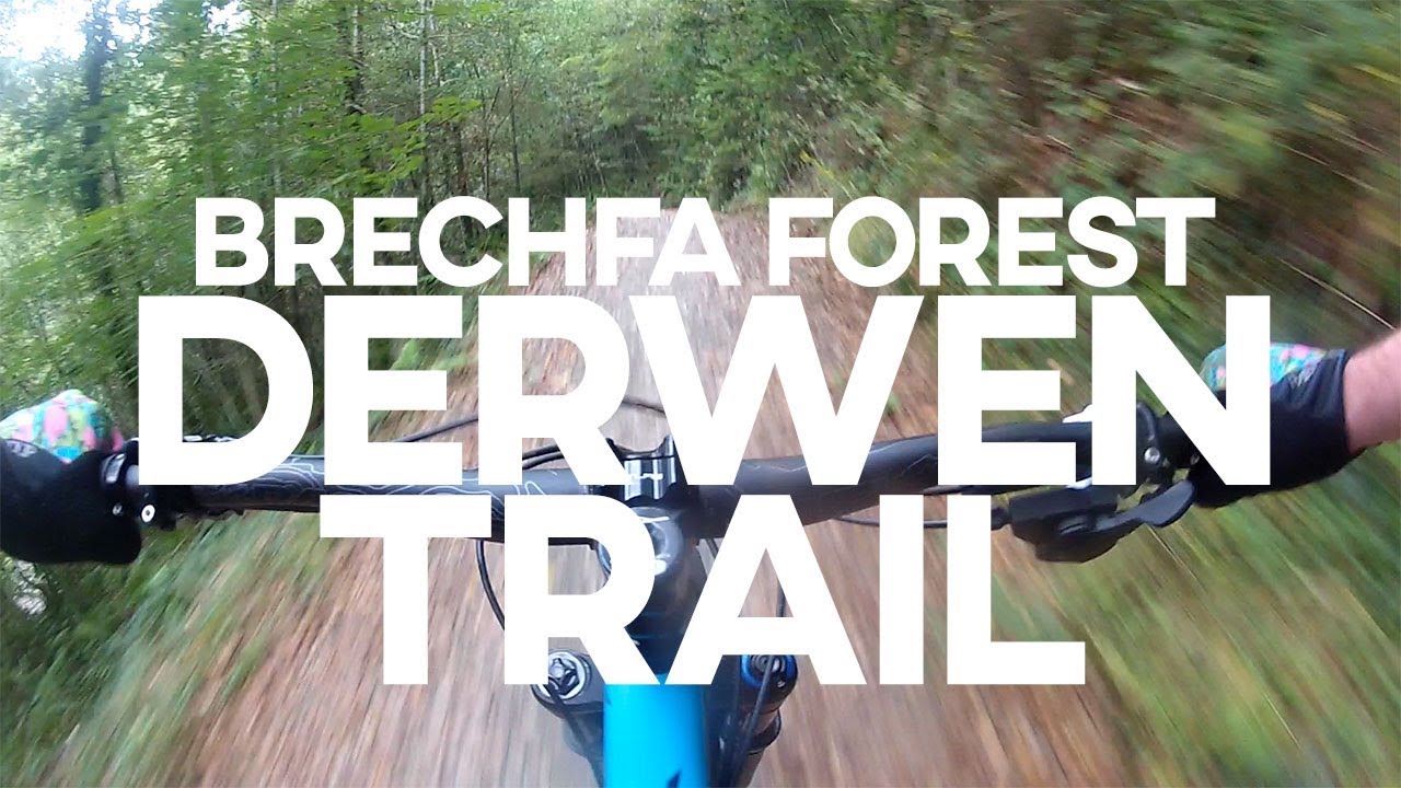 Brechfa Forest - Derwen Trail | YT Jeffsy | UK MTB