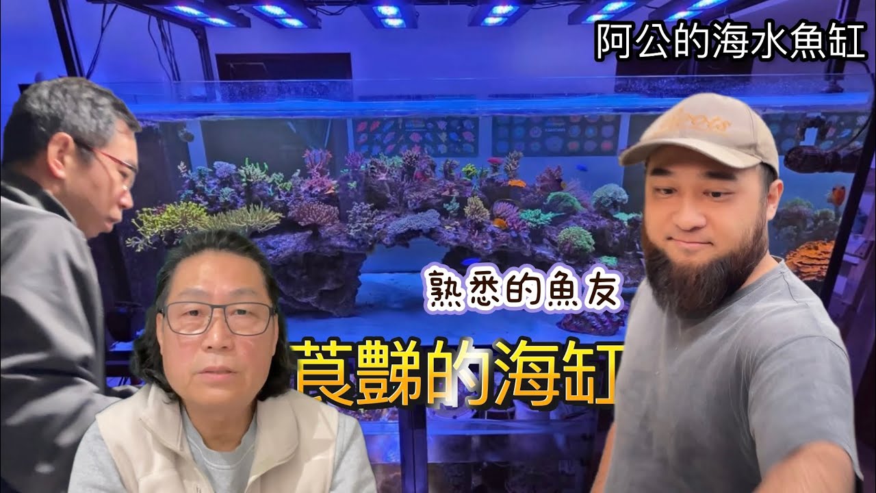 九呎缸竟能養出巨型大珊瑚-阿公的海水魚缸