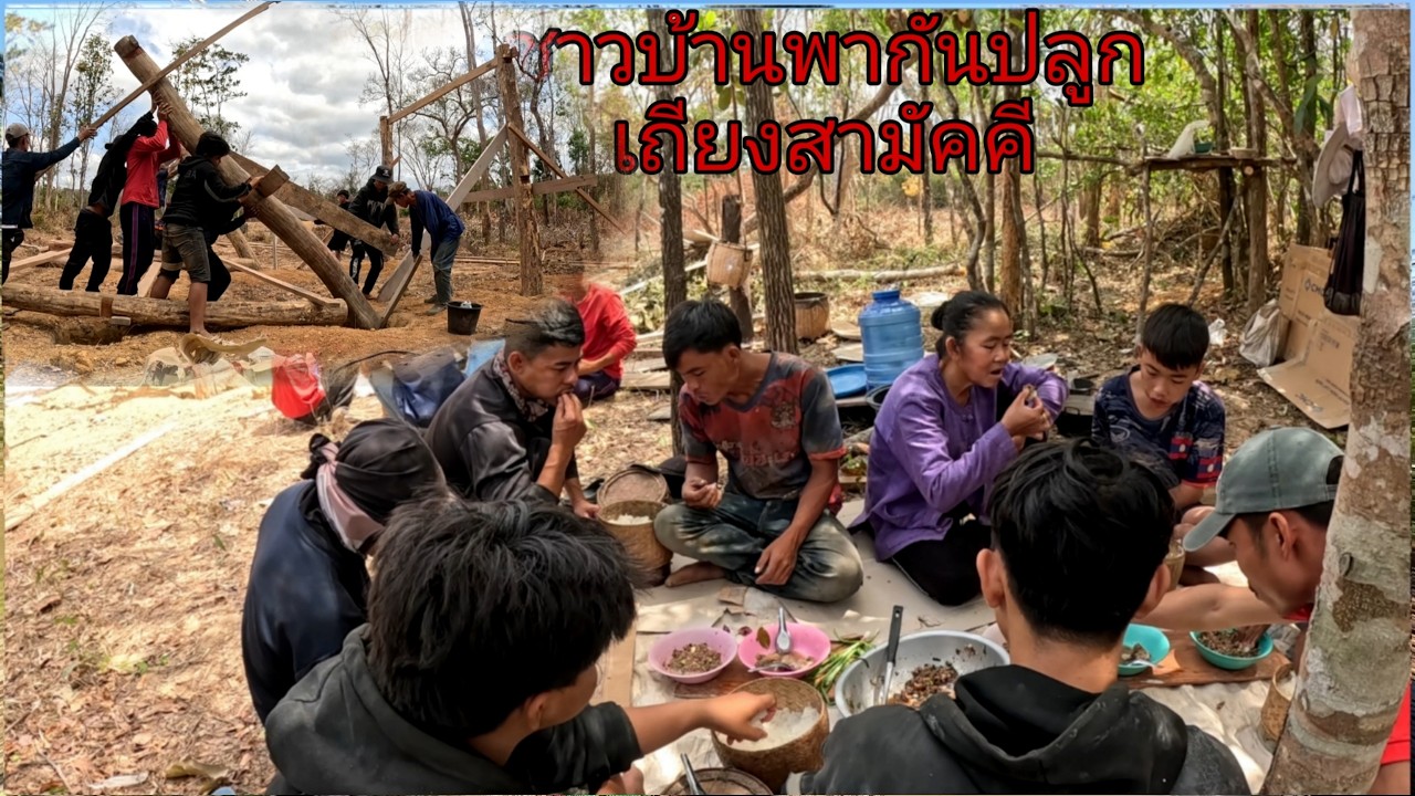 ปุกเถียงนาสามัคคี..!!.ປຸກຖຽງນາສາມັກຄີ..[ ฮ้อยถินภูไท ]. กุมภาพันธ์ ค.ศ. 2026