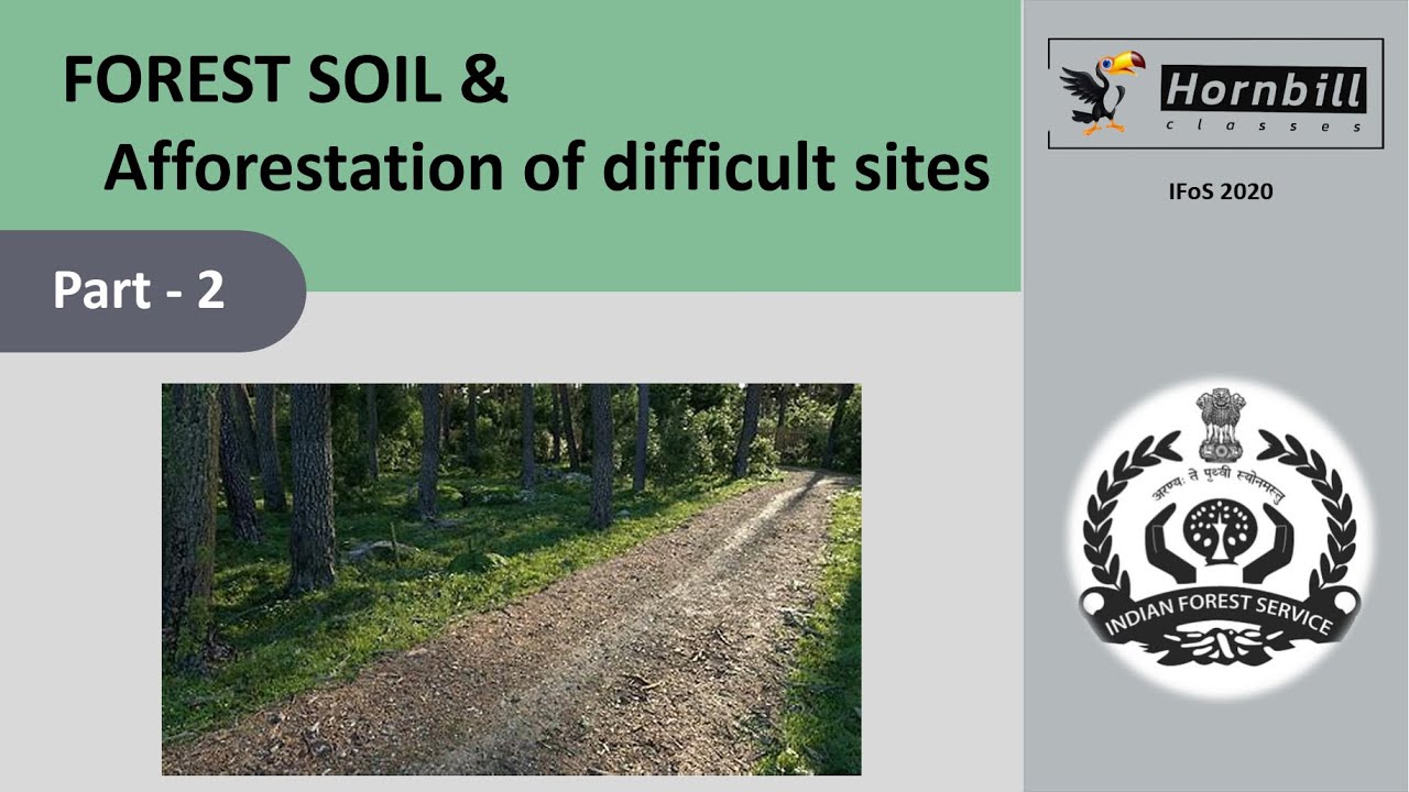 35. IFoS-2020  |  Afforestation of difficult sites