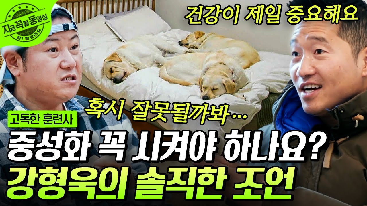 [#고독한훈련사] 지인에게 보냈다가 홍역 걸려서 돌아온 반려견😢 강형욱이 알려주는 중성화 수술을 하는 이유❗ | #지금꼭볼동영상