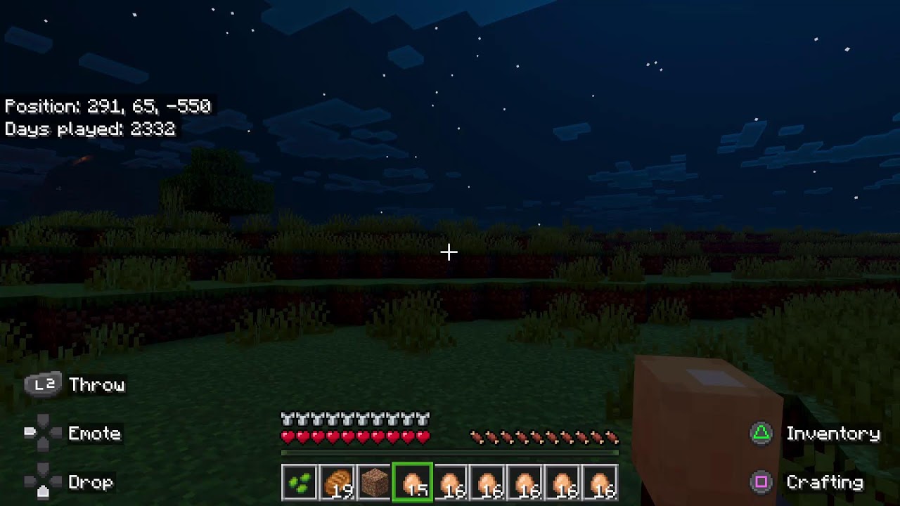 Minecraft Live Stream