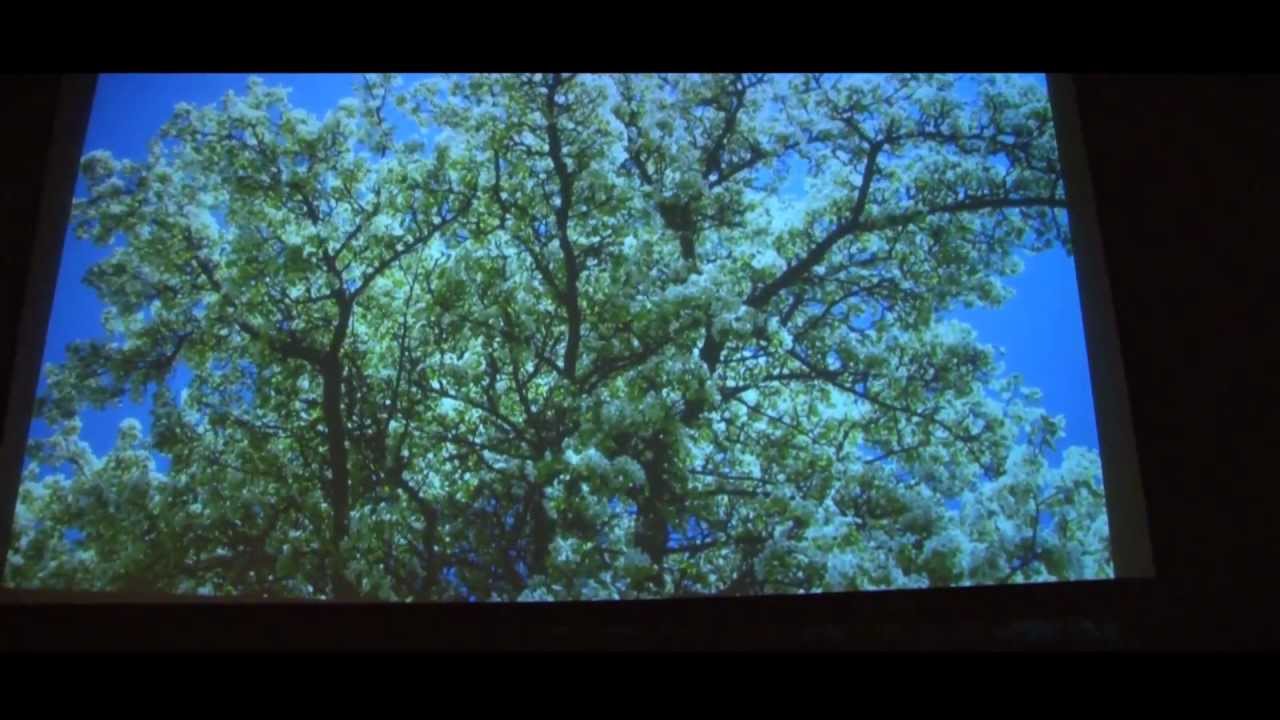 Imagefilm Gemeinde Ardagger - MOSTBIRNHAUS Stift Ardagger