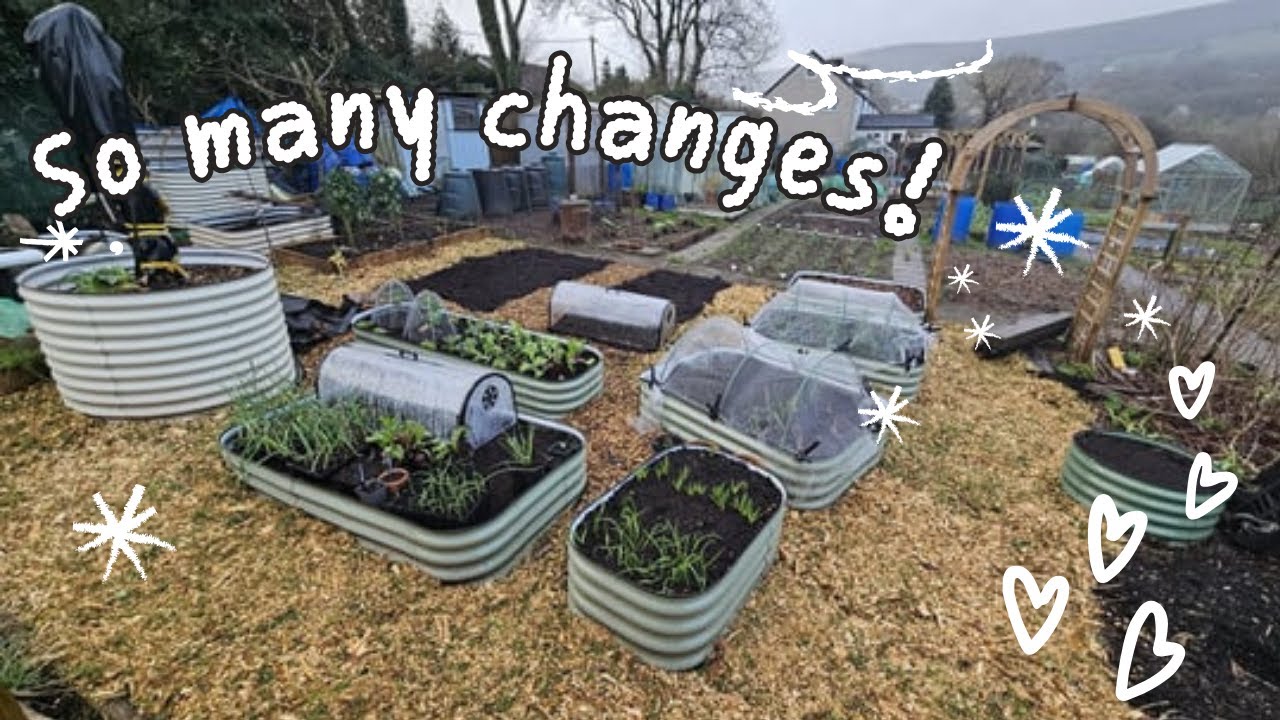 Garden Changes for the better! | Allotment | Wales