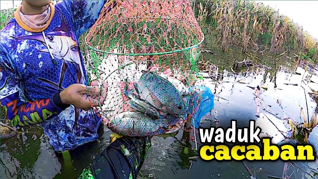 Mancing Waduk Cacaban Terbaru // Spot Mancing ikan Nila