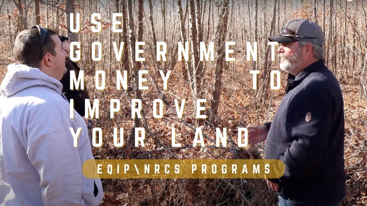 IMPROVE YOUR PROPERTY WITH GOVERNMENT FUNDING || EQIP NRCS PROGRAMS || Food plots, patch clear cut